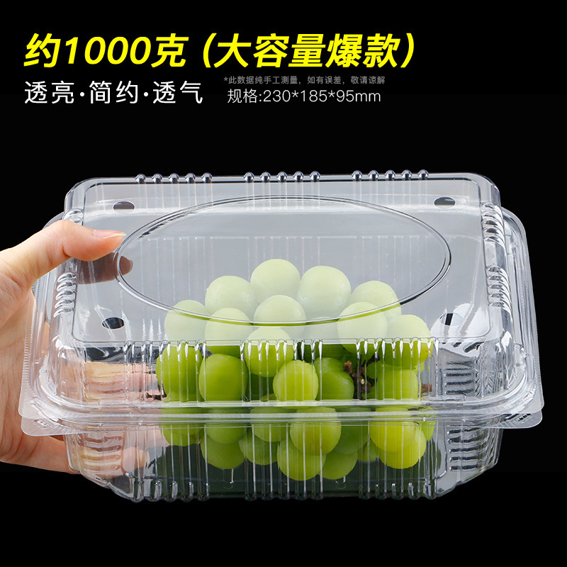 폭발 큰 부자 [약 1000 그램]]