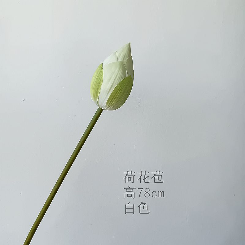 네덜란드 꽃 봉오리 흰색과 녹색