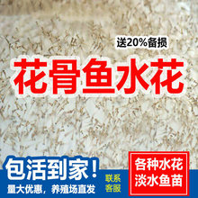 ���ڻ����~��ˮ���~�絭ˮ���B���R�x�Ӽ����~�����~С���~��ϡ��