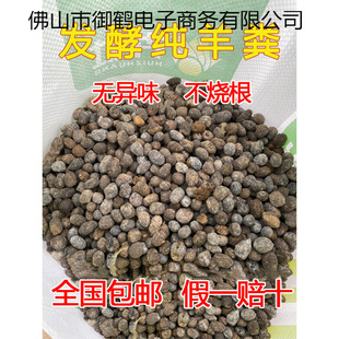 ��S�l���ЙC�� ����S�� �u�S�� �N���N�˻���ͨ�ü���S������