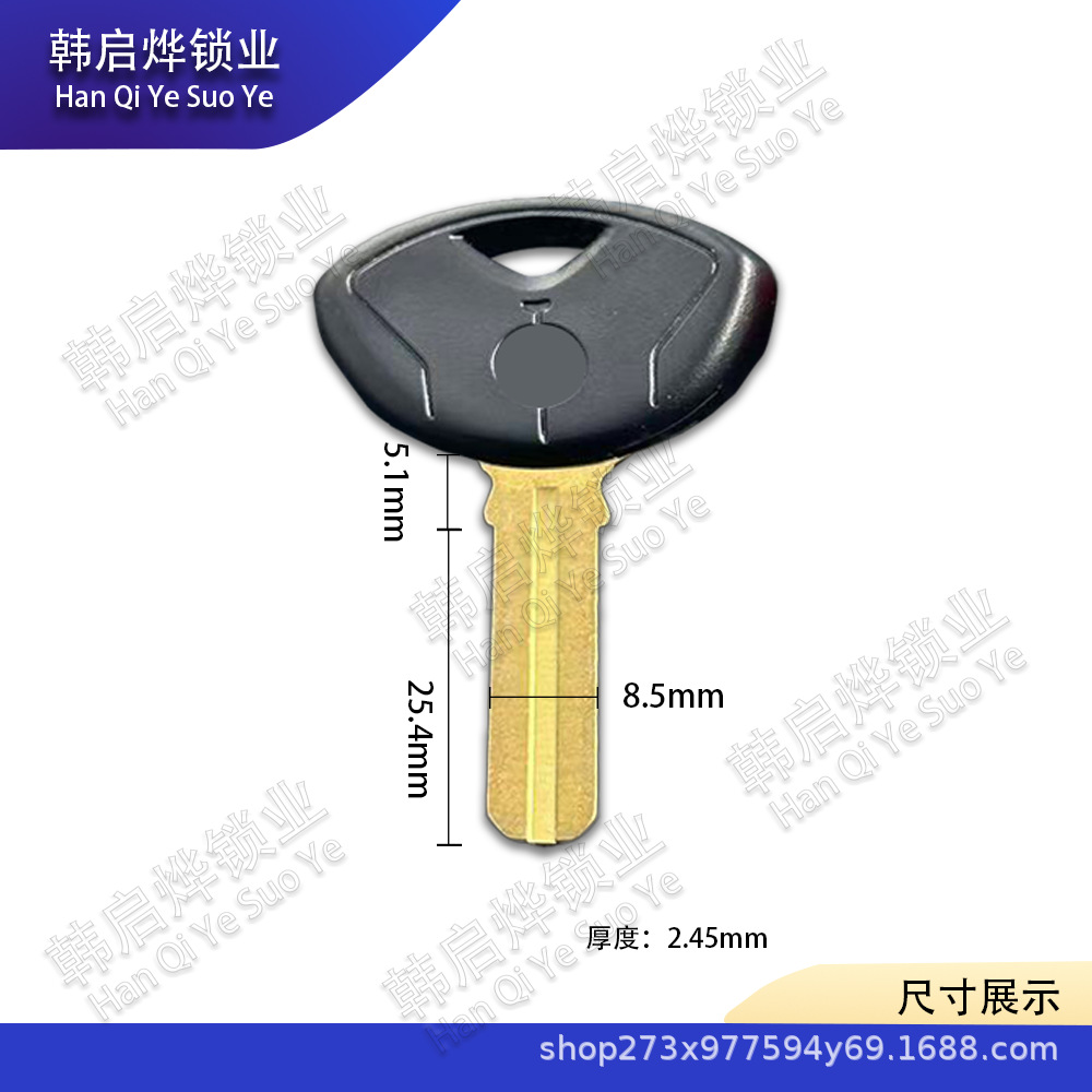 Suitable for Bmw Motorcycle F800Gs S1000Rr R1200R K1200 K1300 Imported Key Embryo