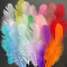 ���Sֱ�Ndiy��ɫ��ëĸ�uë7-11cm��ë��ɫ������Y��������