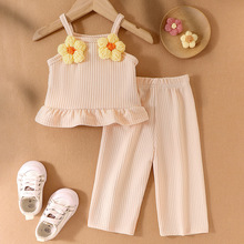 Children's clothing��ɫ��������+������װŮͯ�¿�����ѷ�羳ŷ