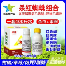 t֩\xș OӲݮS\~\xrș