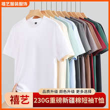 230Gذ޶t¿伃ɫAItŮͬٴ