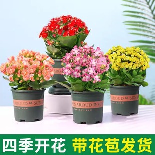 �L�ۻ������ذ�����󻨎����������ļ��҃��_�����B�Ļ���ֲ��