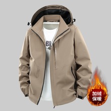 �����ӽq�tɫ������ʿ�n���Bñ��ů�A���г������e�_�h���L������