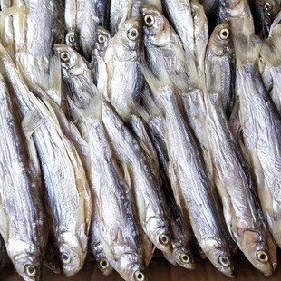 �����خa�L���r���ԕ��N���~�ɰחl����С�~�в͗l��ˮ�~��С�~��