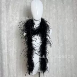 羽毛、羽绒;除尘掸