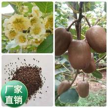 JҷNľNчaɢbļ侰^G^~N