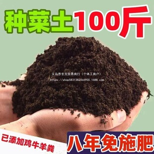 ��ͥ�N�ˠI�B�� �̨���� �������ЙC�B�����߲˷Nֲ�����������