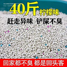 ����؈ɰ40��Y�F��ճ��΢�m�־�����������؈10��