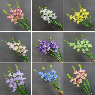 ���m�����滨�b[�����ܸߙn�ٻ��߼��л�Y��ش�ƿ�廨��c