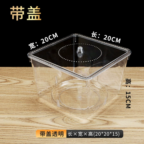 20*20*15 fully transparent (with cover) ✦★