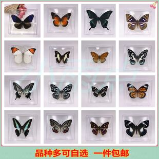 ������˱���Ʒ͸�����b�[�����նY�����յ����׃��@�����̌W��Ʒ