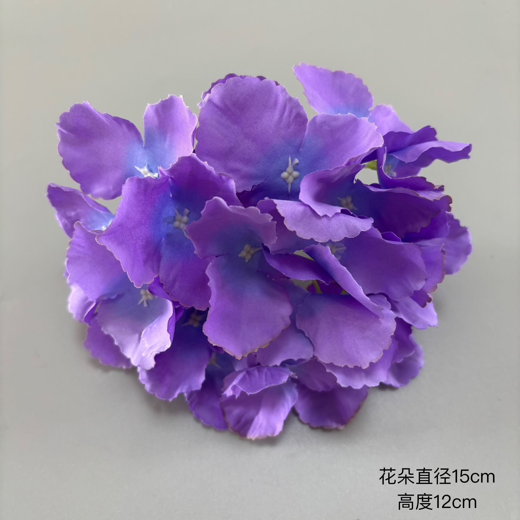 진한 보라색