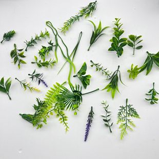 ֲˮ ~쾰Gֲ 滨bСl