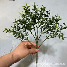 �����������������S�����~�ӆ�֧�����ľ�����ͩ���S����