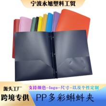 �羳PP�ļ��AA4���A�Ӻ�30�z�p���ļ����W���k�����A�ɶ���