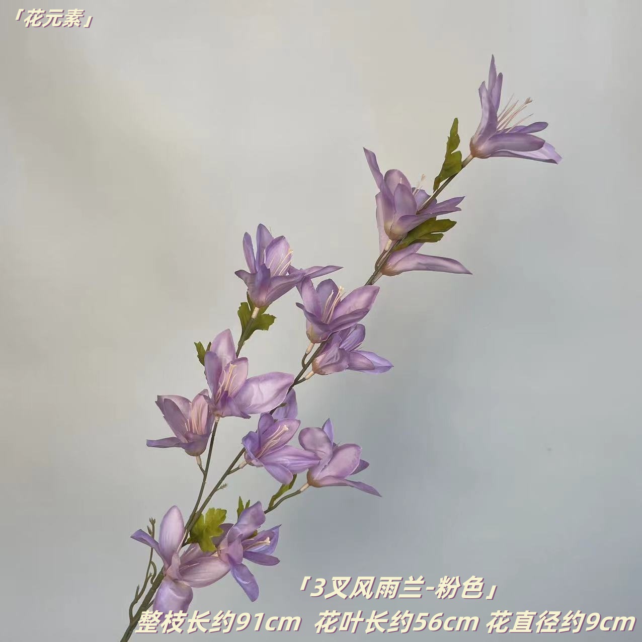연한 보라색