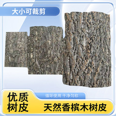 シャンパンのコルクの木の皮の天然の真の樹皮のペットはペットに登ります。