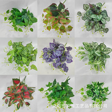 6^^z~ӷGֲG}ĵع~滨ٻGֲ