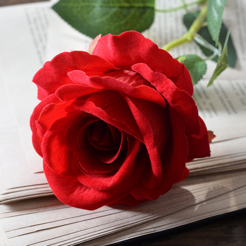 Large velvet rose light red