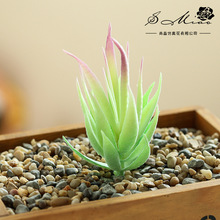 ����ٻ����R�J�Cֲ�����DIY�����Ʒ���컨�S��ֱ���羳