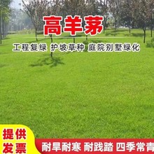 léľNӹ뻱̻໨ľmяSֱ