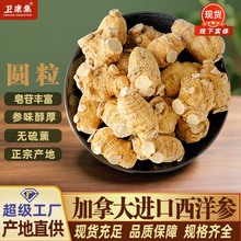正宗加拿大西洋参进口整根5g10g20g花旗参粒头中药材西洋参批发
