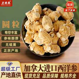 正宗加拿大西洋参进口整根5g10g20g花旗参粒头中药材西洋参批发