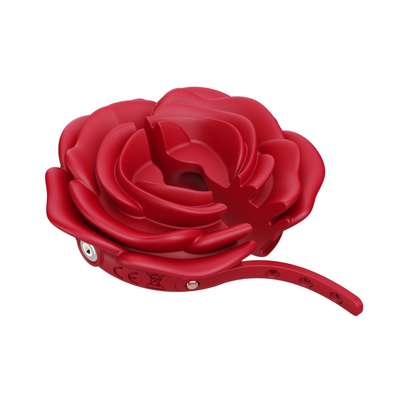Vibrador de pezón con control remoto inalámbrico, accesorio SM para mujeres - Cross-border