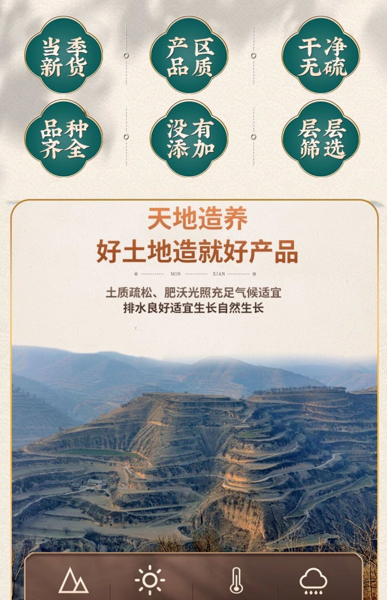 Dried Phellodendron Bark Huang Bai 100g Bulk Traditional Herbal Decoction Pieces key features