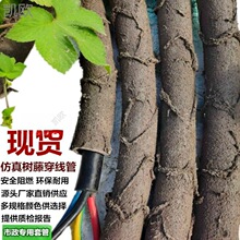 ���ϸɘ�֦늾����@��ľ���ٗl�bܷ�Ƥ������Ę��ٴ�����