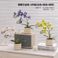 手感蝴蝶兰泡泡仿真花盆栽摆件餐桌茶几假花装饰摆设花艺家居盆景