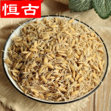 稻芽中药材生稻芽500g 谷芽另有麦芽浮小麦规格齐全