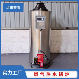 蒸汽发生器;电热锅炉;燃气锅炉