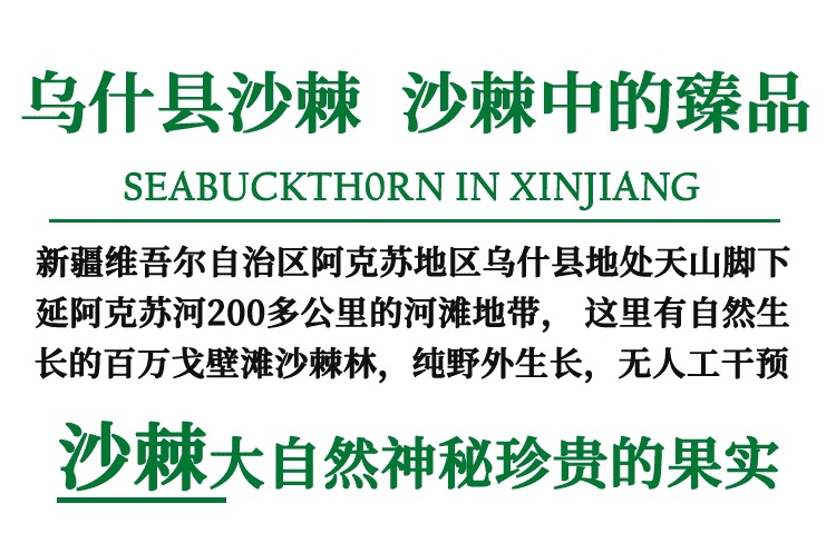 Sea Buckthorn Fruit Sha Ji 500g Wild Xinjiang Dried Berries for Tea Jam and Powder Making overview