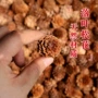 小松拍摄幼儿园定制落叶松