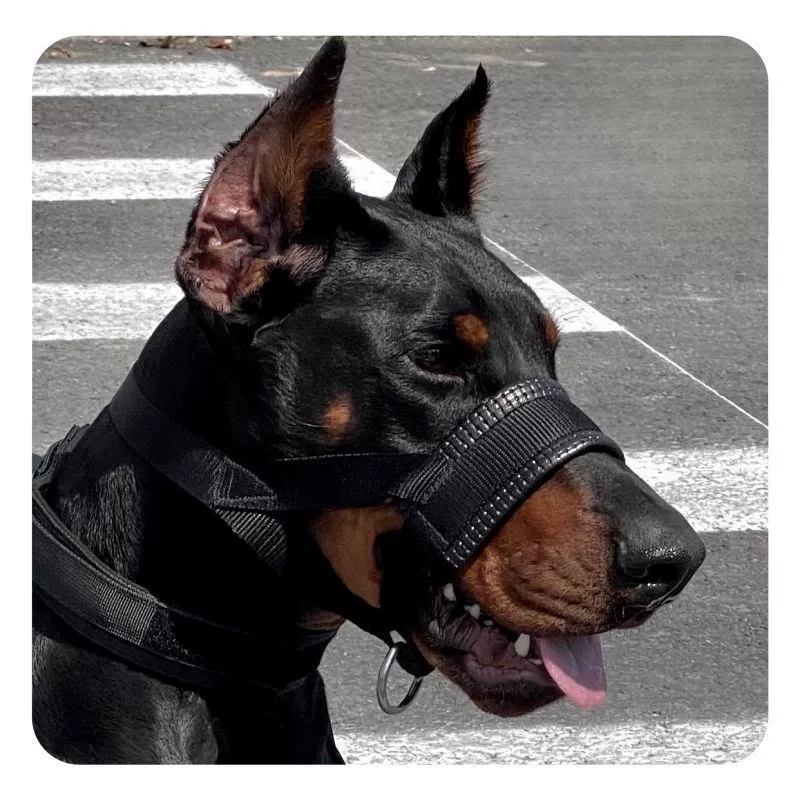 Тактический намордник для собак, защита от укусов, защита от еды и крика, специальная тяга для ротвейлера для дрессировки средних и крупных собак