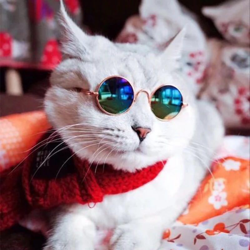 Fábrica directa perros gatos gafas de mascota tendencia creativa juguetes gafas de sol accesorios super lindos mini