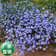 �{�����黨�N���ļ��׷N�̨ͥԺ�҃��ⴹ����������ֲ����m����