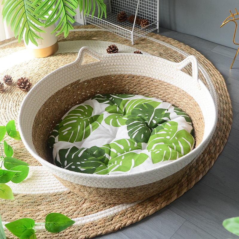 흰 고양이 귀 둥지 + 녹색 잎 화장솜