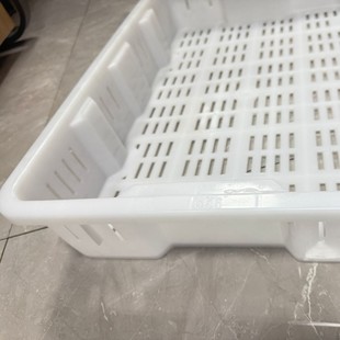Plastic Drying Tray Cold Storage Food Freezing Box Seafood Quick Freezing Basket Thickened Plastic Drying Tray Single Freezer