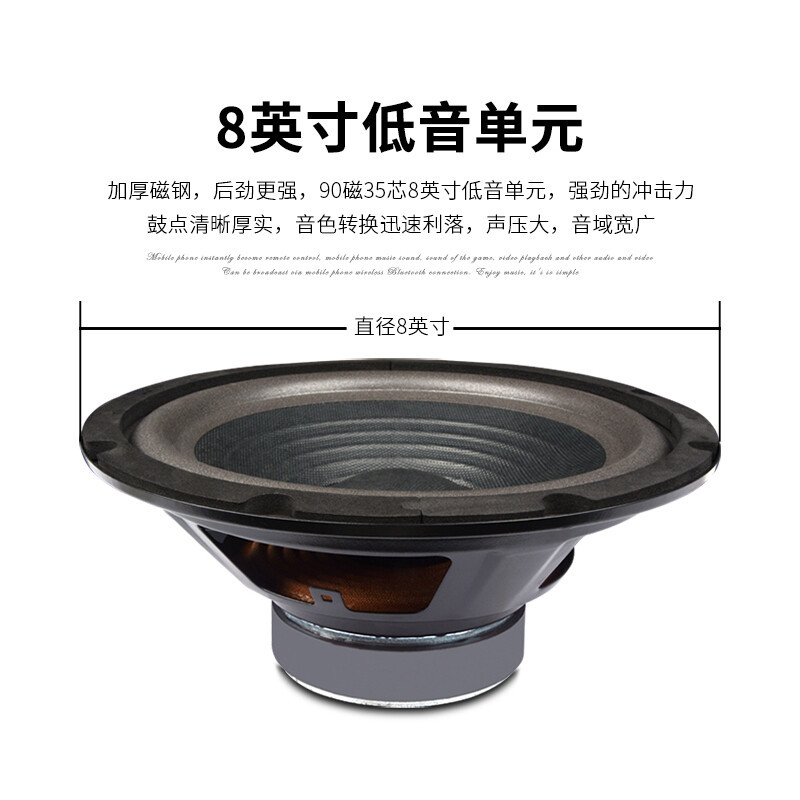 Lion Music AV108BX108 sala de conferencias conjunto de combinación de audio entrenamiento aula música de fondo equipo del sistema de refuerzo de sonido