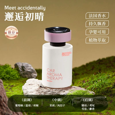 Car Perfume Aromatherapy New Style Fragrance Women's - encounter-chuqing
