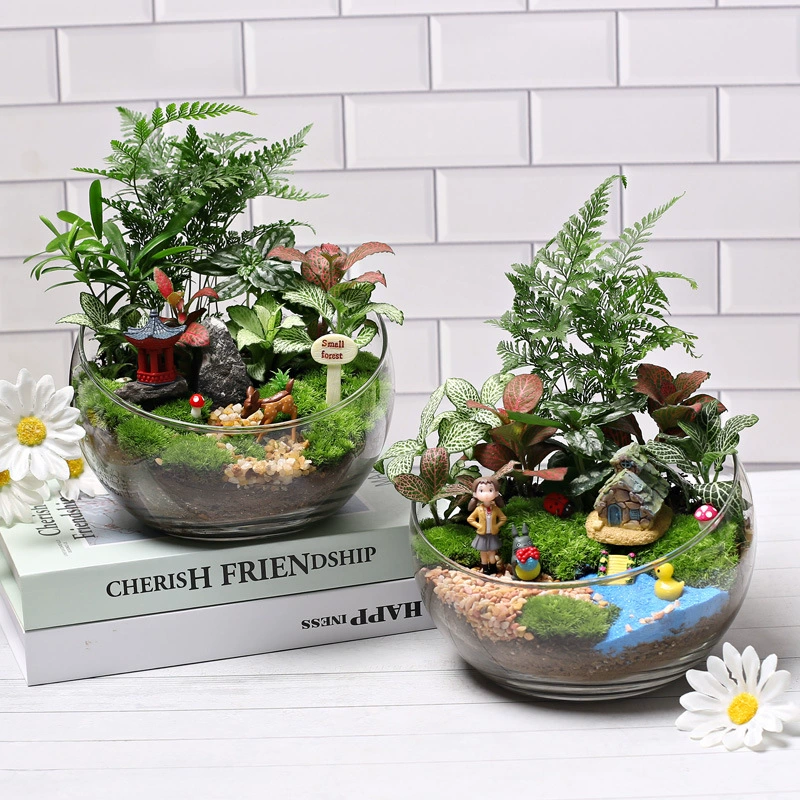 18 вырезать детей посадка небольшой горшок DIY свежие растения мох микро пейзаж материал сумка экологическая бутылка креативный костюм