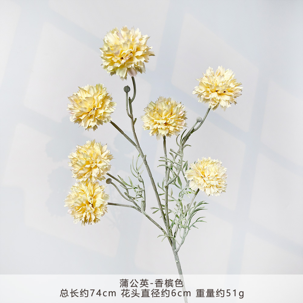 MJ-蒲公英-香槟