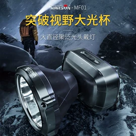 手电筒;头灯头戴电筒;提灯