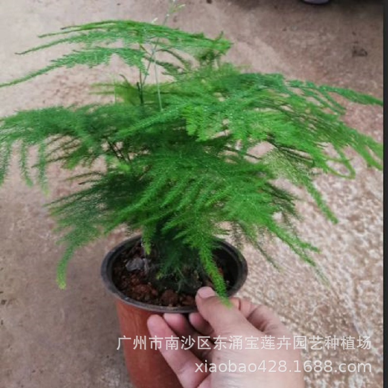 截图20181226200048